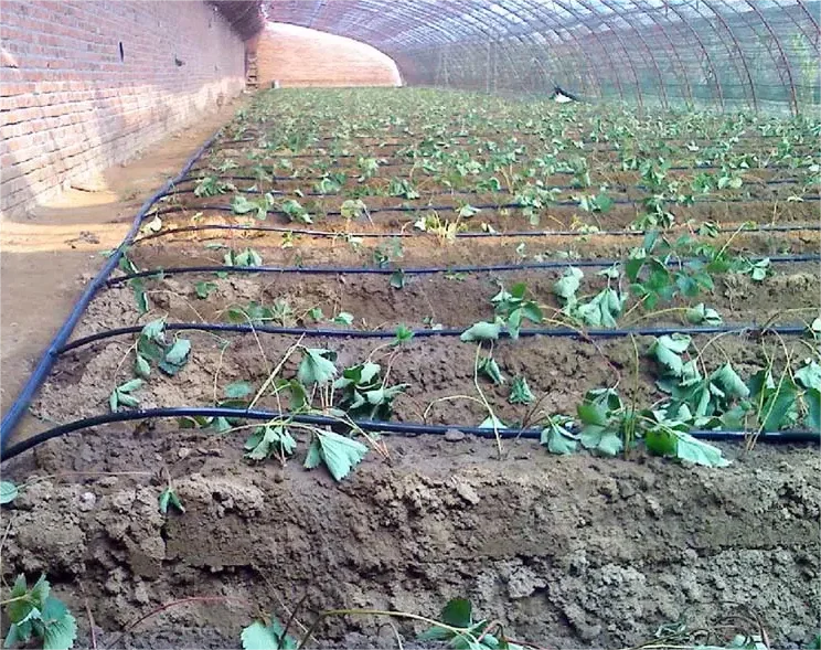 Комплект для капельного орошен – обзор и цена Agriculture Farming Hand Tools